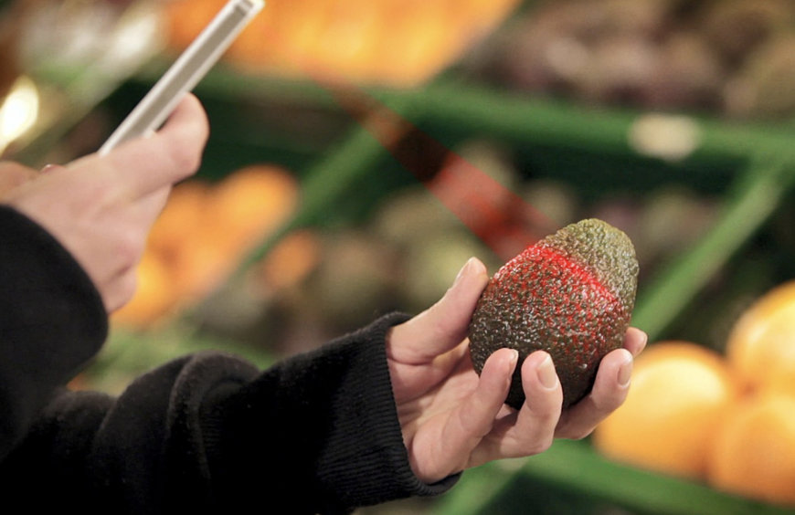 ON-SITE FOOD FRESHNESS TESTING AT THE FRAUNHOFER INSTITUTE FOR PHOTONIC MICROSYSTEMS IPMS
